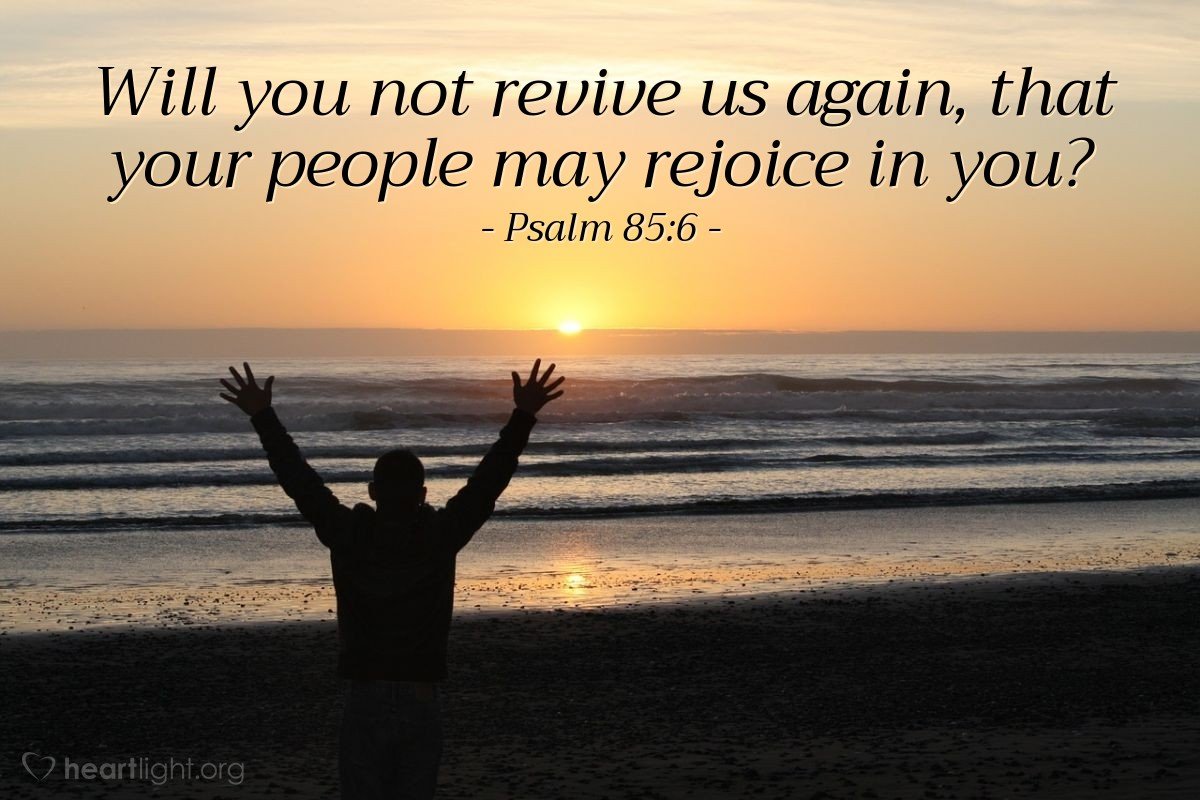 Today’s Verse – Psalm 85:6