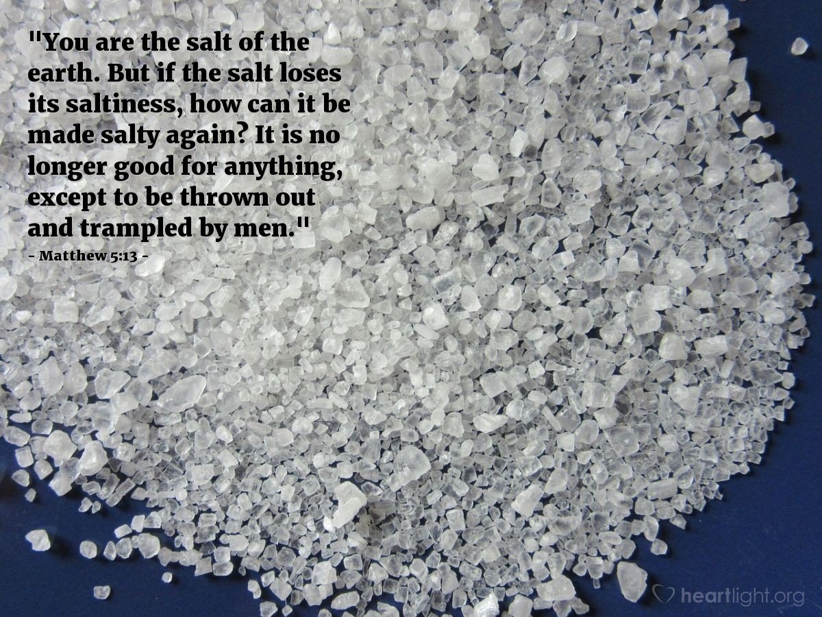 Today’s Verse – Matthew 5:13
