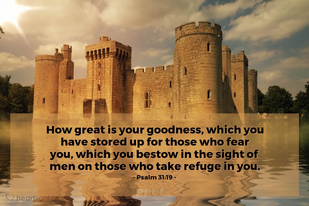 Today’s Verse – Psalm 31:19