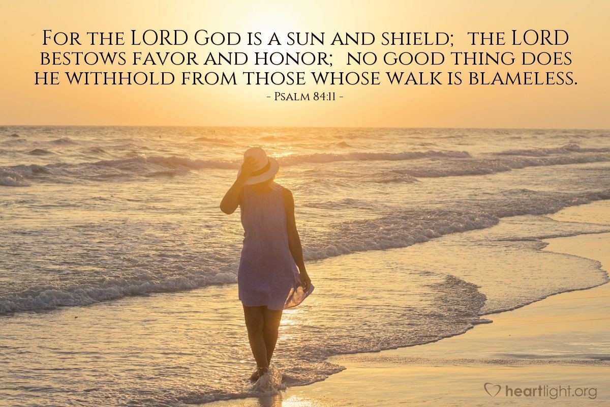Today’s Verse – Psalm 84:11-12