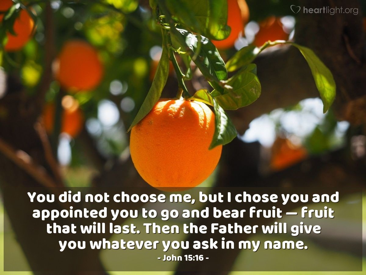 Today’s Verse – John 15:16