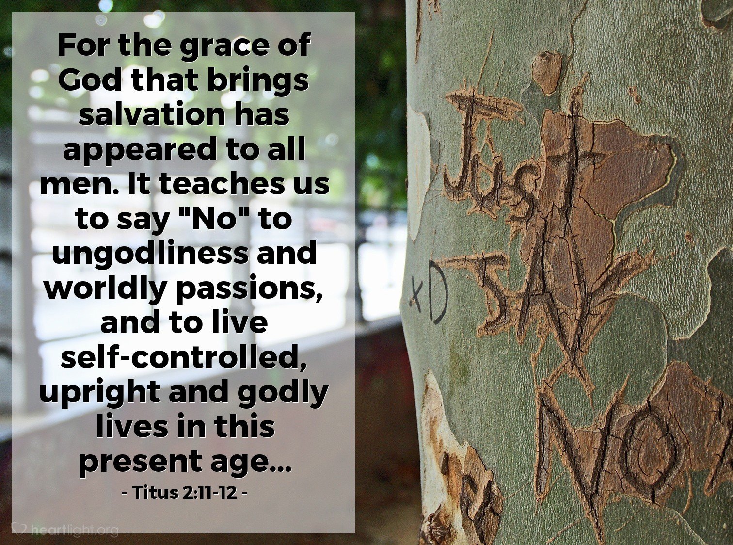 Today’s Verse – Titus 2:11-12